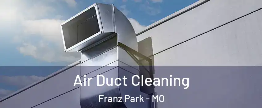 Air Duct Cleaning Franz Park - MO