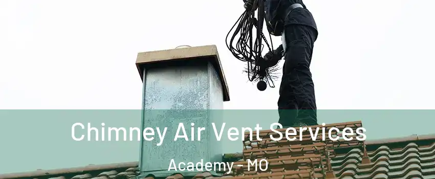 Chimney Air Vent Services Academy - MO