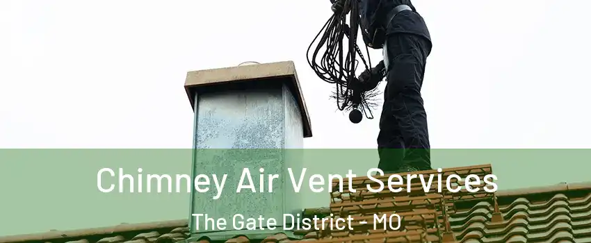 Chimney Air Vent Services The Gate District - MO