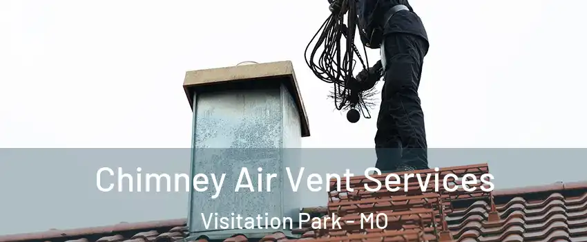 Chimney Air Vent Services Visitation Park - MO