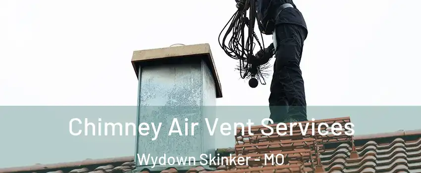 Chimney Air Vent Services Wydown Skinker - MO