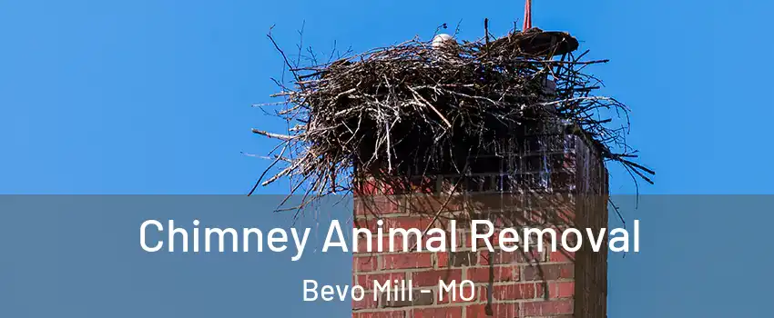 Chimney Animal Removal Bevo Mill - MO