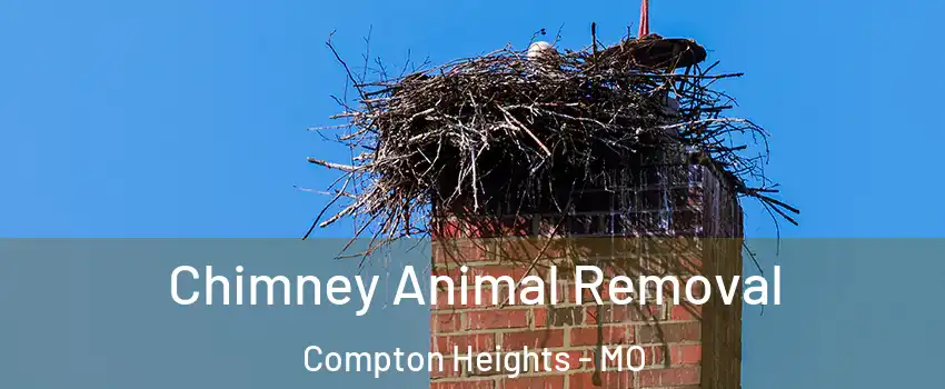 Chimney Animal Removal Compton Heights - MO