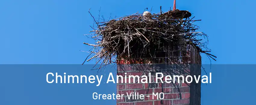 Chimney Animal Removal Greater Ville - MO