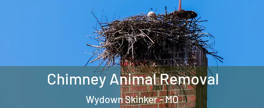 Chimney Animal Removal Wydown Skinker - MO