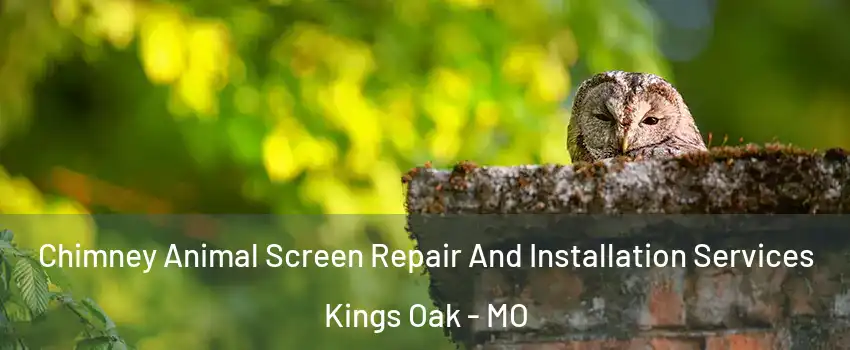 Chimney Animal Screen Repair And Installation Services Kings Oak - MO