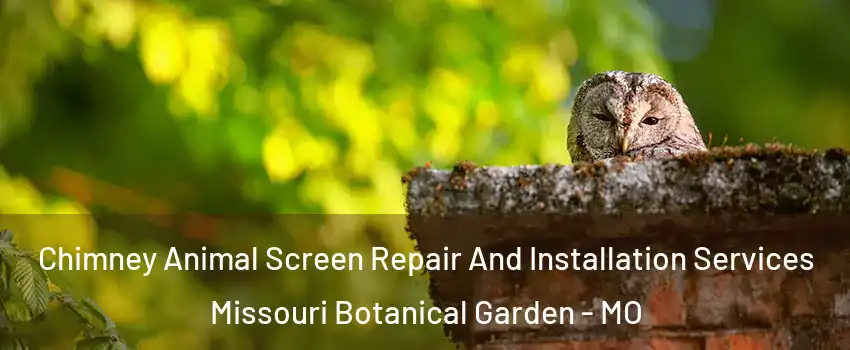 Chimney Animal Screen Repair And Installation Services Missouri Botanical Garden - MO