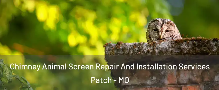 Chimney Animal Screen Repair And Installation Services Patch - MO