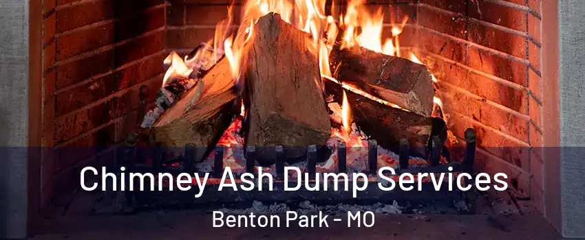 Chimney Ash Dump Services Benton Park - MO