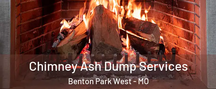 Chimney Ash Dump Services Benton Park West - MO