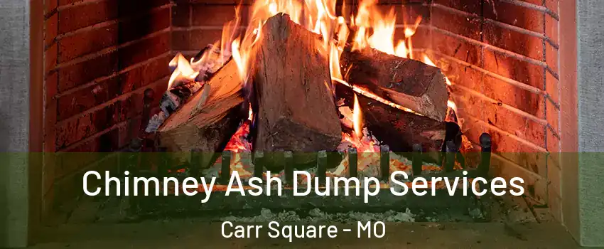 Chimney Ash Dump Services Carr Square - MO