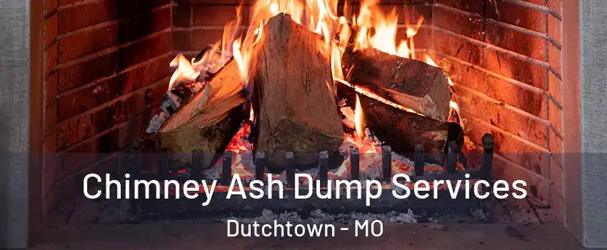 Chimney Ash Dump Services Dutchtown - MO