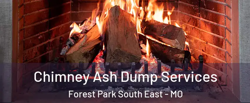 Chimney Ash Dump Services Forest Park South East - MO