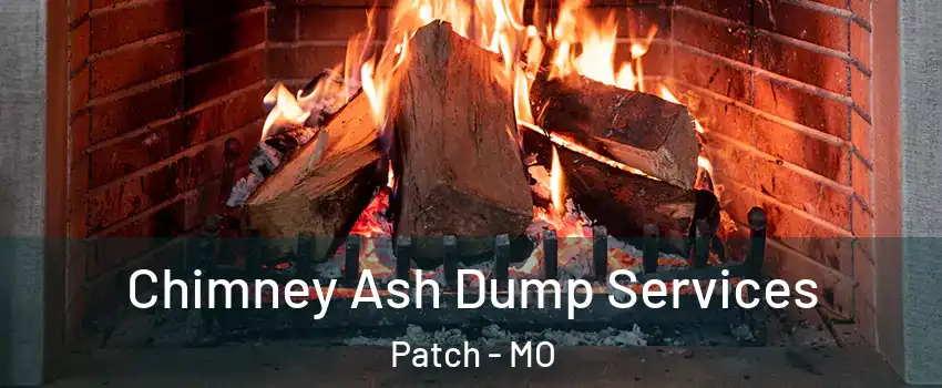 Chimney Ash Dump Services Patch - MO