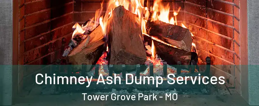 Chimney Ash Dump Services Tower Grove Park - MO