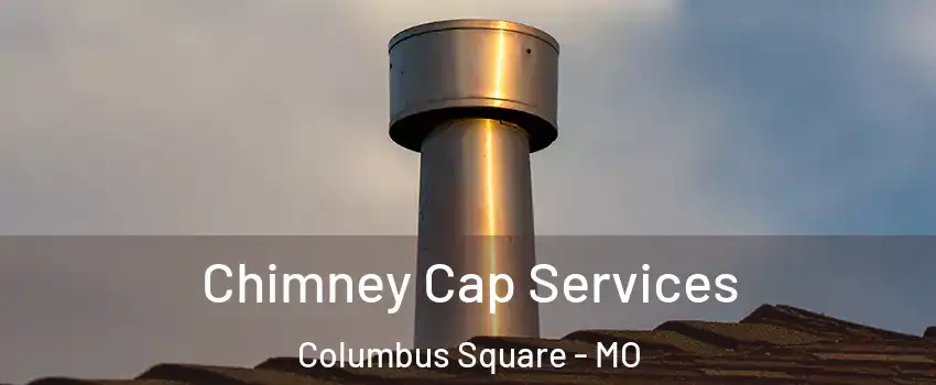 Chimney Cap Services Columbus Square - MO