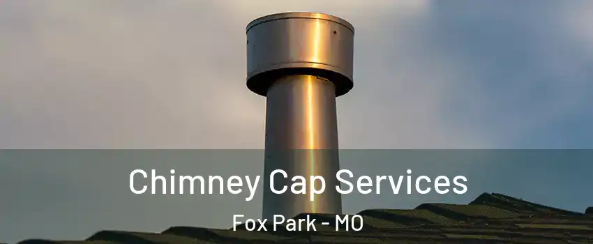 Chimney Cap Services Fox Park - MO