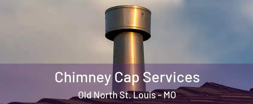 Chimney Cap Services Old North St. Louis - MO