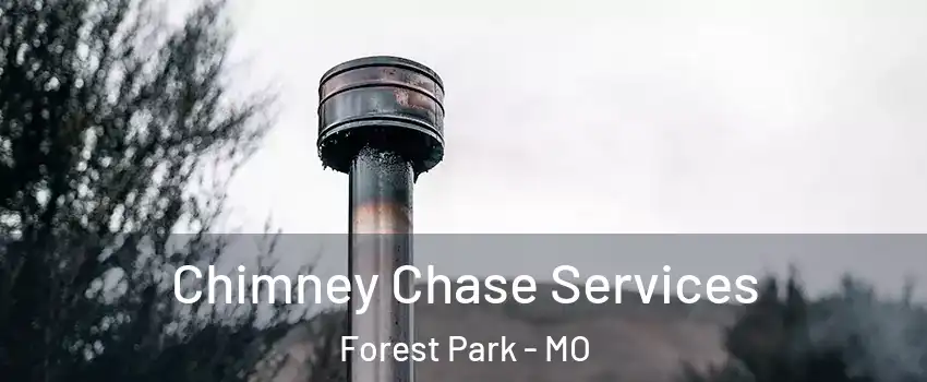 Chimney Chase Services Forest Park - MO