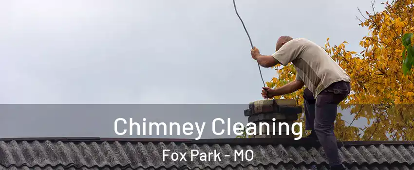 Chimney Cleaning Fox Park - MO