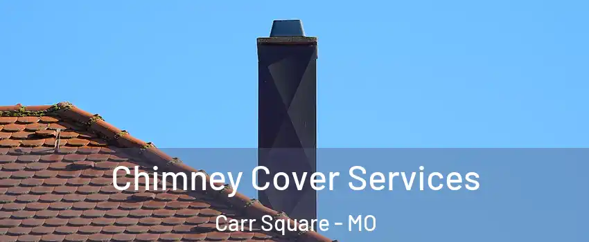 Chimney Cover Services Carr Square - MO