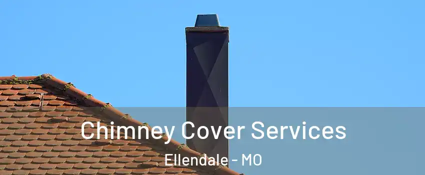 Chimney Cover Services Ellendale - MO