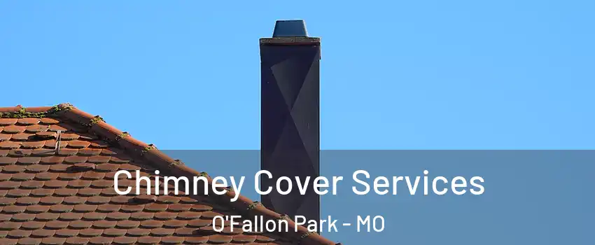 Chimney Cover Services O'Fallon Park - MO