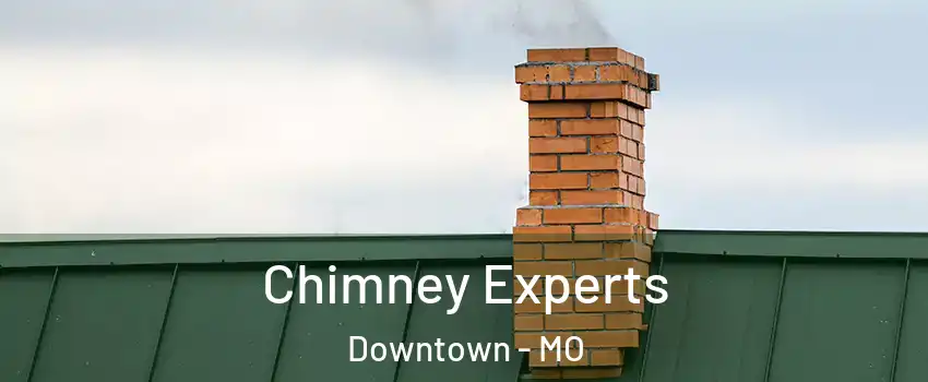 Chimney Experts Downtown - MO