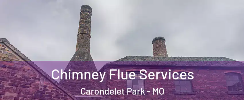 Chimney Flue Services Carondelet Park - MO