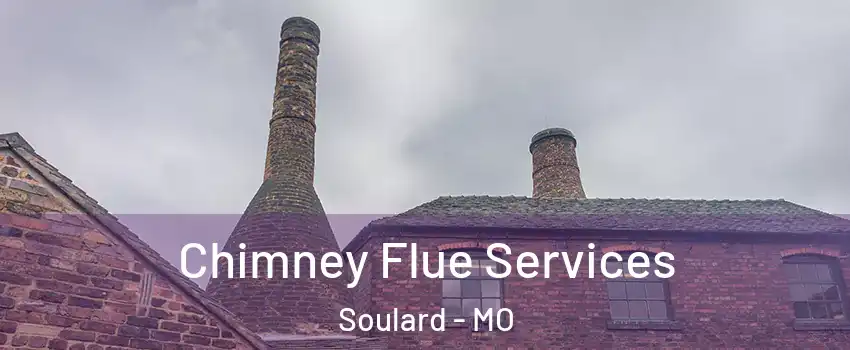 Chimney Flue Services Soulard - MO