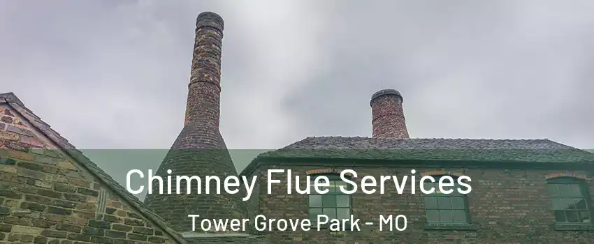 Chimney Flue Services Tower Grove Park - MO