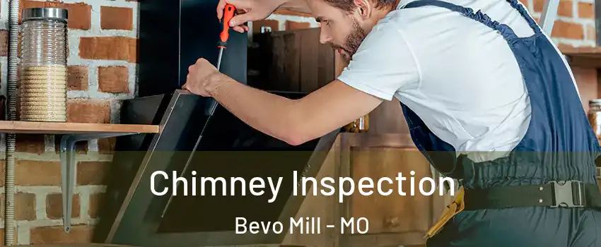 Chimney Inspection Bevo Mill - MO