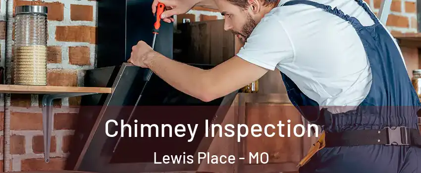 Chimney Inspection Lewis Place - MO