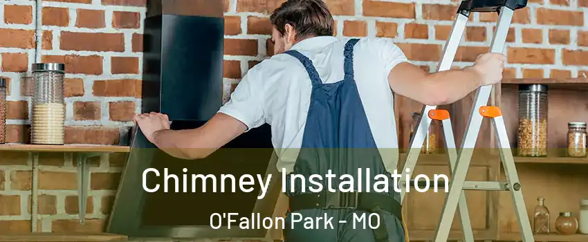 Chimney Installation O'Fallon Park - MO