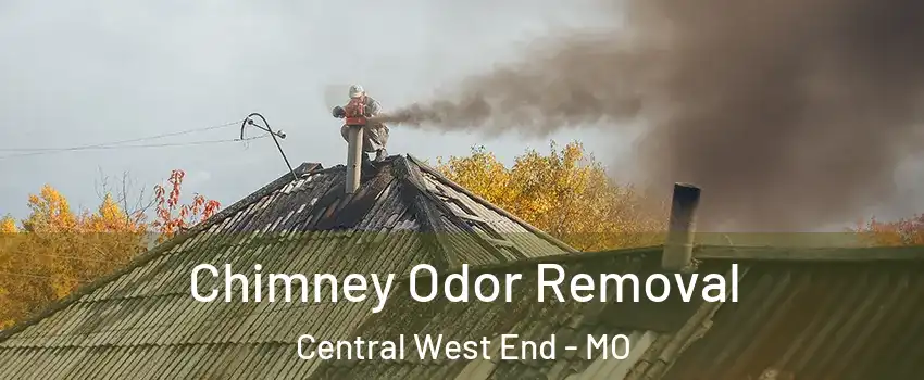 Chimney Odor Removal Central West End - MO