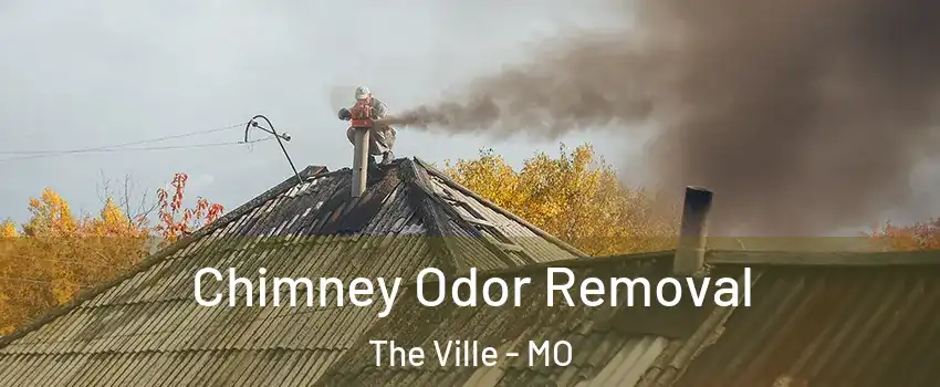 Chimney Odor Removal The Ville - MO