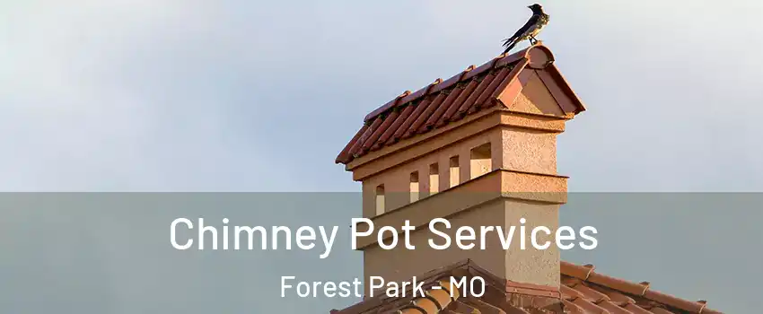 Chimney Pot Services Forest Park - MO