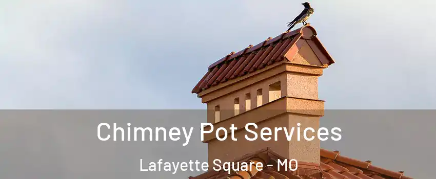 Chimney Pot Services Lafayette Square - MO