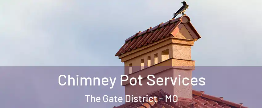 Chimney Pot Services The Gate District - MO