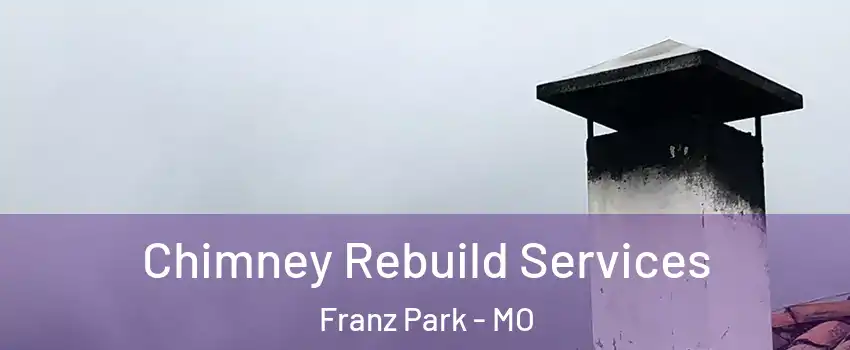 Chimney Rebuild Services Franz Park - MO