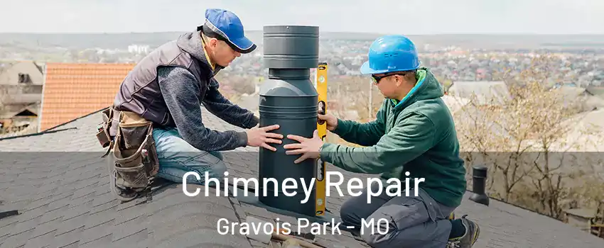 Chimney Repair Gravois Park - MO