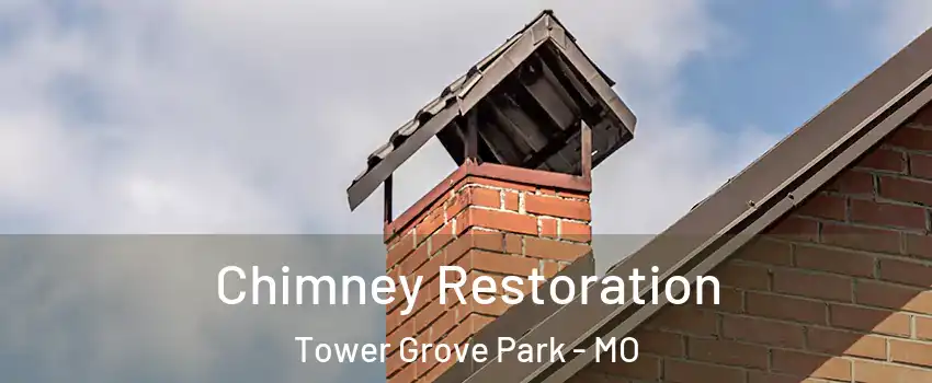 Chimney Restoration Tower Grove Park - MO