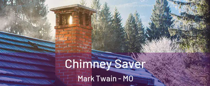 Chimney Saver Mark Twain - MO