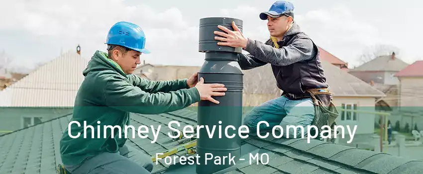 Chimney Service Company Forest Park - MO