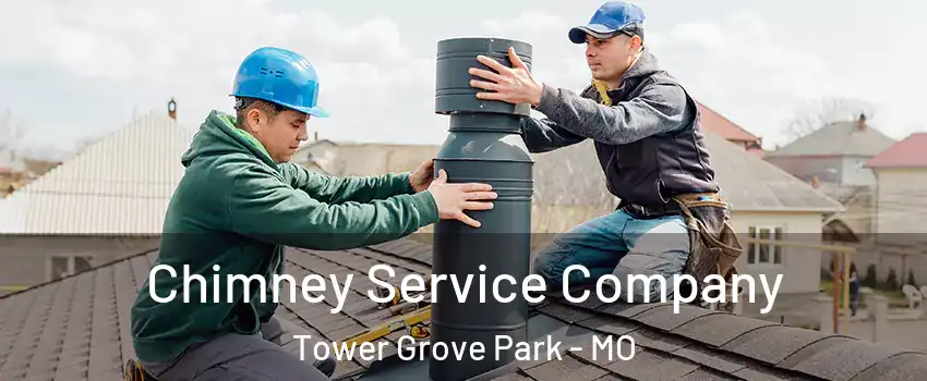 Chimney Service Company Tower Grove Park - MO