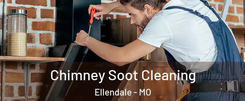 Chimney Soot Cleaning Ellendale - MO