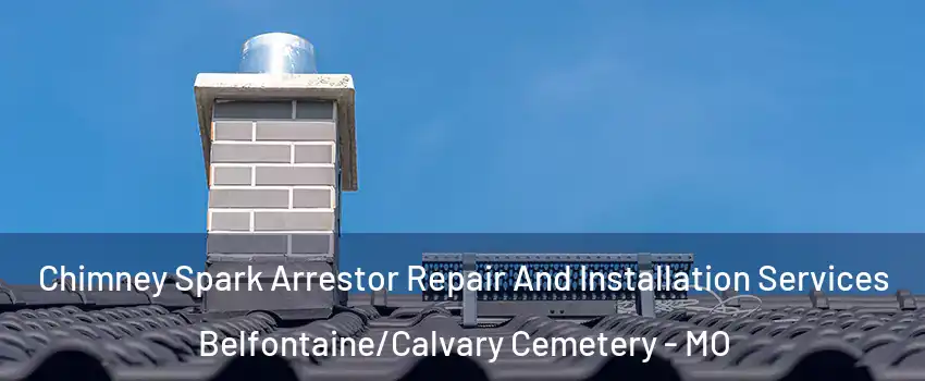 Chimney Spark Arrestor Repair And Installation Services Belfontaine/Calvary Cemetery - MO