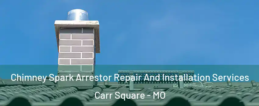 Chimney Spark Arrestor Repair And Installation Services Carr Square - MO