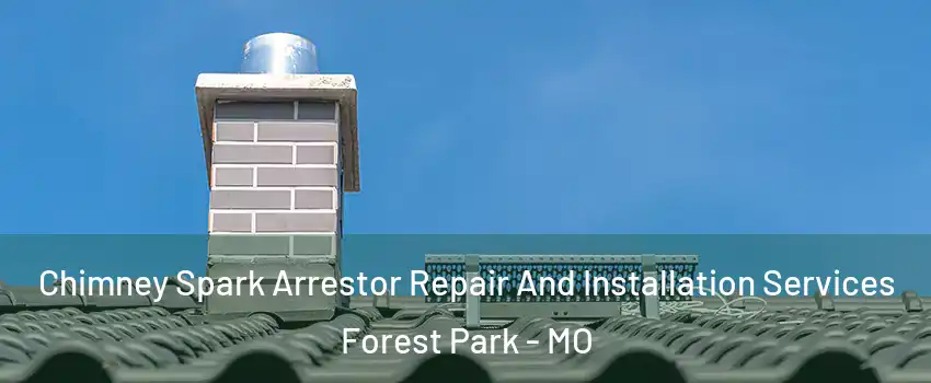 Chimney Spark Arrestor Repair And Installation Services Forest Park - MO