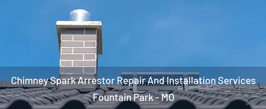 Chimney Spark Arrestor Repair And Installation Services Fountain Park - MO